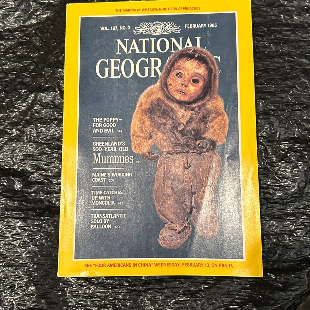 National Geographic February 1985 Issue - Yellow and Brown Cover